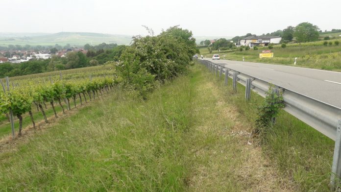 csm L 426 Radweg Elsheim Essenheim MZ Lerchenberg LBM Worms Mai 2018 0711ce0bbe csm L 426 Radweg Elsheim Essenheim MZ Lerchenberg LBM Worms Mai 2018 0711ce0bbe