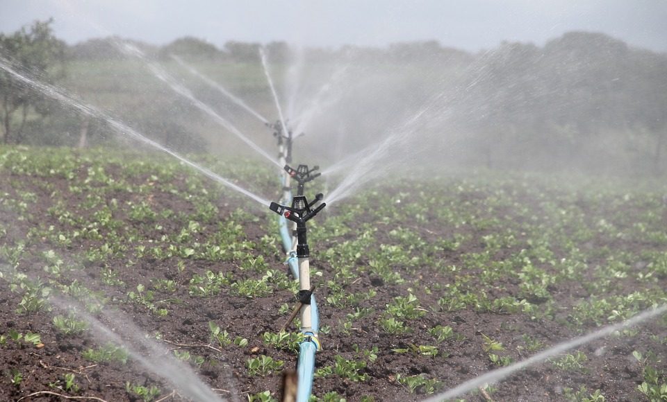 irrigation 588941 960 720 e1617001935916 irrigation 588941 960 720 e1617001935916