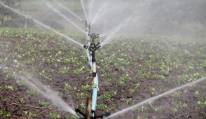 Warnung: grundwasser im kreis groß-gerau nicht nutzen Irrigation 588941 960 720 e1617001935916