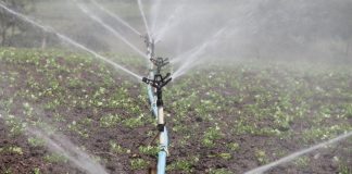 irrigation 588941 960 720 e1617001935916