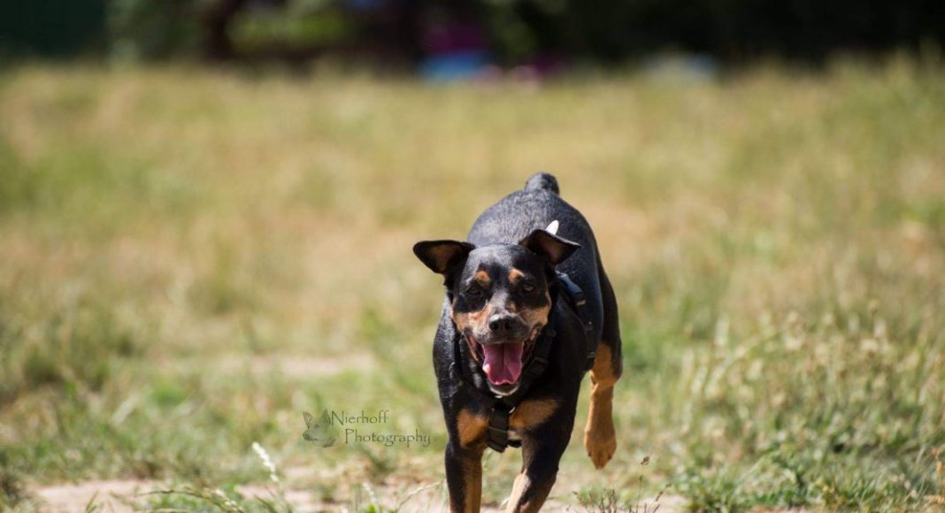 original file lock e1614994639686