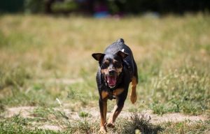 Original file lock e1614994639686