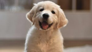 Wie singles im internet eine beziehung finden