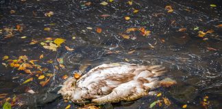 shutterstock 1826472797 scaled e1614934089731