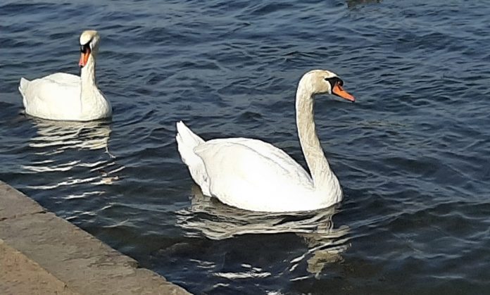 20210331 1438231 scaled e1617578448228 20210331 1438231 scaled e1617578448228