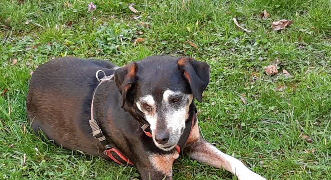 20210402 1712291 scaled e1617396808709