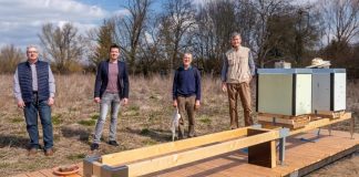 2021 Maerz Stadtbienen