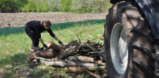 210429 Zauneidechsen DSC 0038 scaled e1619770571872