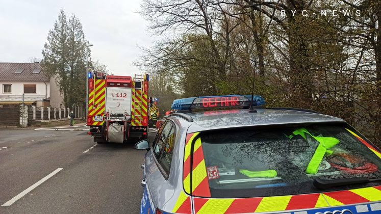 IMG 20210416 100649 scaled