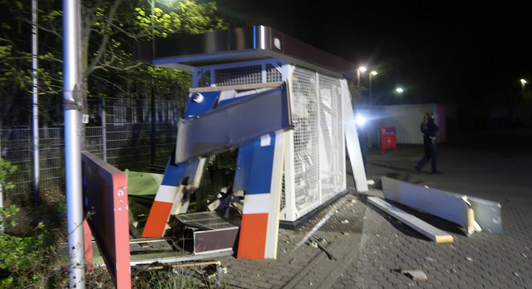 IMG 2924 e1617700746612