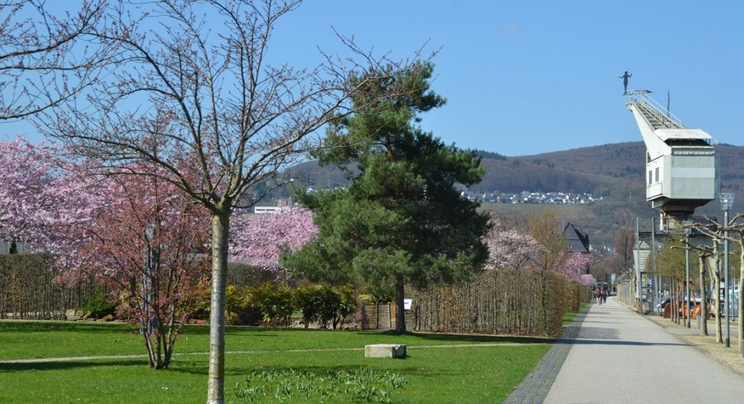 Rheinufer heute Bild aus dem Jahr 2019 e1618303220285