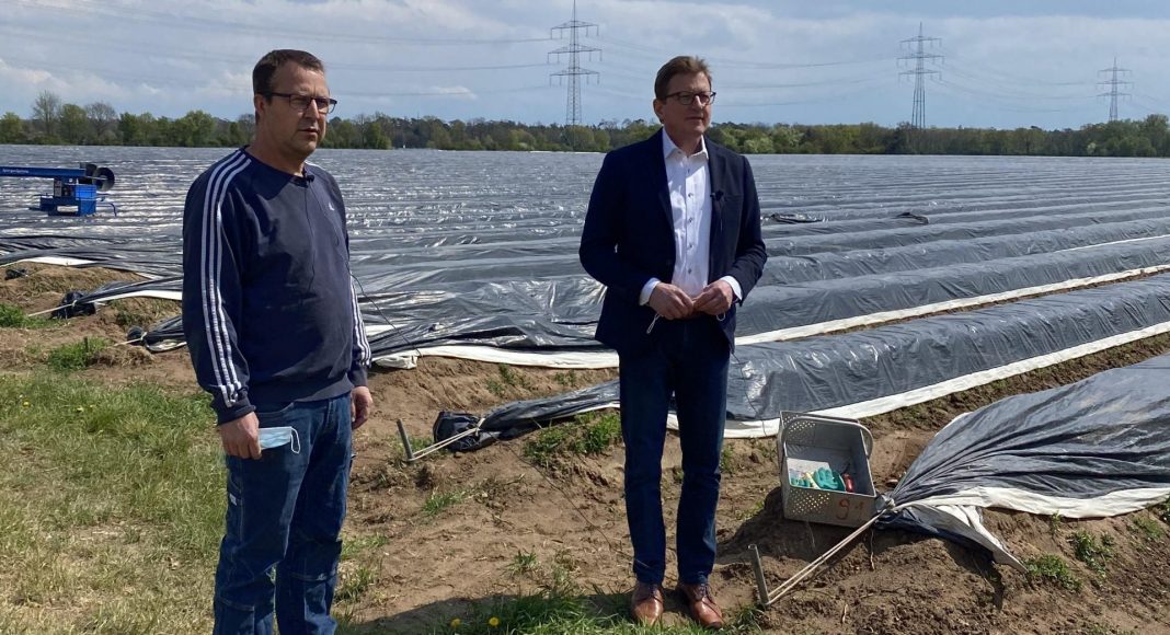 Spargeltermin Stefan Sauer und Frank Reitz scaled e1619773908289