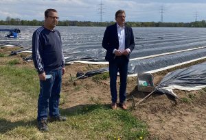 Spargeltermin stefan sauer und frank reitz scaled e1619773908289