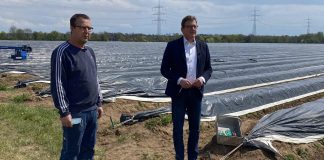 Spargeltermin Stefan Sauer und Frank Reitz scaled e1619773908289