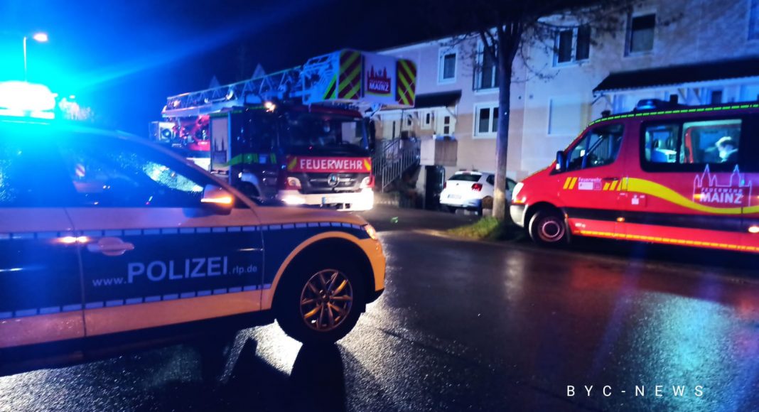 Weisenau Feuerwehr e1618303416582