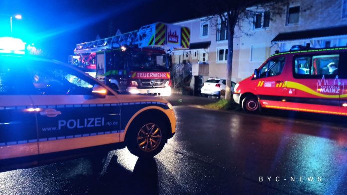 Weisenau Feuerwehr e1618303416582