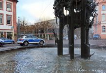 Tatverdächtiger spielt Katz und Maus mit der Mainzer Polizei WhatsApp Image 2021 04 06 at 19.08.50 e1617729128302