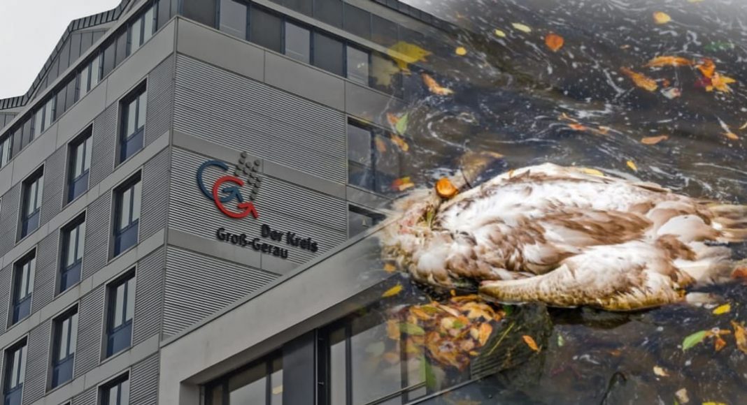 WhatsApp Image 2021 04 08 at 14.53.46 WhatsApp Image 2021 04 08 at 14.53.46