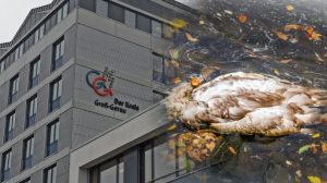 Seit corona meiden menschen busse und züge Seit corona meiden menschen busse und züge