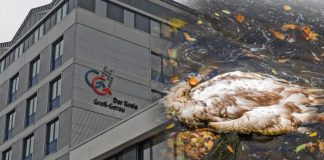 WhatsApp Image 2021 04 08 at 14.53.46