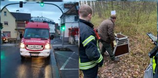 WhatsApp Image 2021 04 10 at 16.47.23 e1618066514761