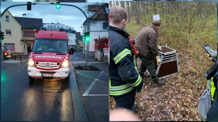 WhatsApp Image 2021 04 10 at 16.47.23 e1618066514761