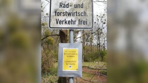 Schwerer unfall in mainz-gonsenheim | fahrer musste aus fahrzeug befreit werden Schwerer unfall in mainz-gonsenheim | fahrer musste aus fahrzeug befreit werden