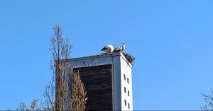 Whatsapp image 2021 04 20 at 16. 17. 43 e1618935383234