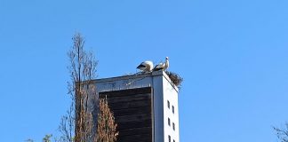 WhatsApp Image 2021 04 20 at 16.17.43 e1618935383234