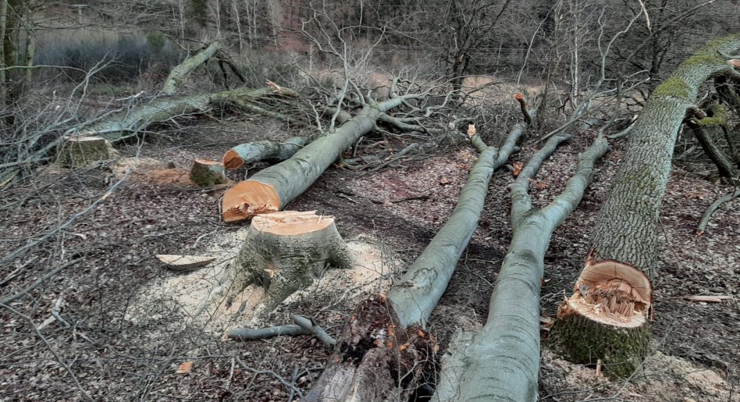 bild2 e1618537713557