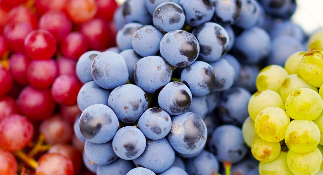 grapes 4495944 1920 e1617396898926
