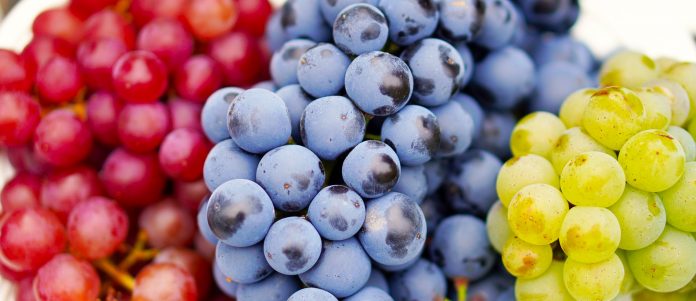grapes 4495944 1920 e1617396898926