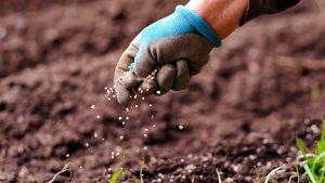 Über 1,2 millionen euro für das kulturheim in mainz-weisenau