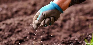 shutterstock 1721310493 scaled e1619163204370