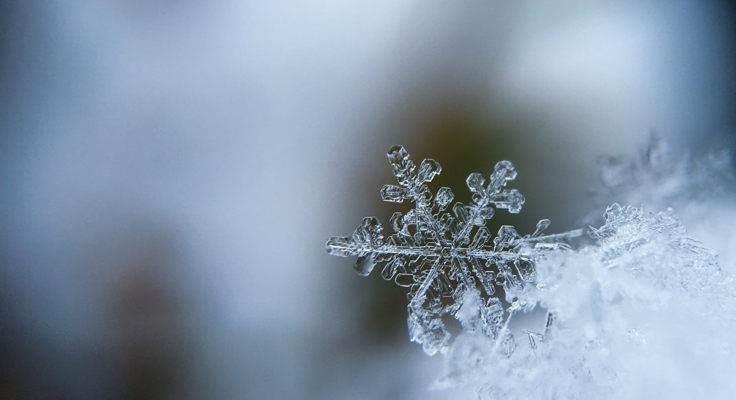 snowflake 1245748 1920 snowflake 1245748 1920