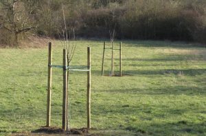 Bedrohungen gegen chef der deutschen umwelthilfe