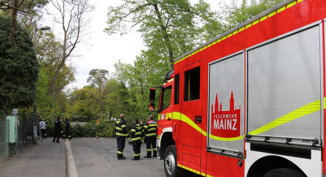 2972CB41 1B00 4834 A552 064408FADD19