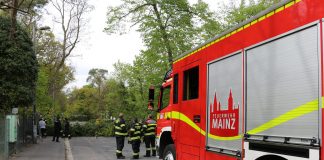 2972CB41 1B00 4834 A552 064408FADD19