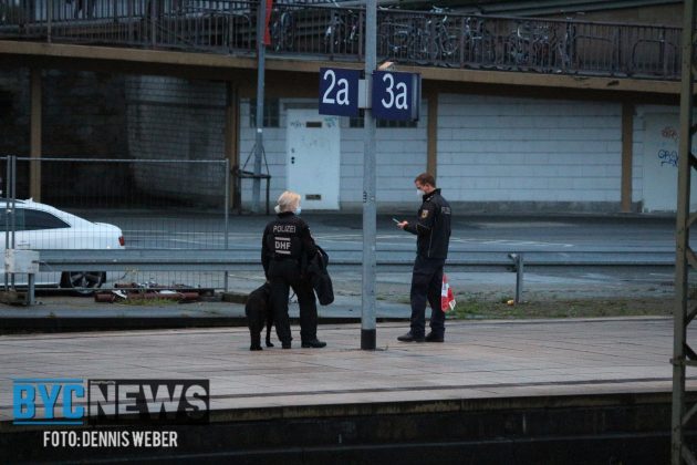 2c0d305d 06a1 4e1b 84df 99869393e1fa