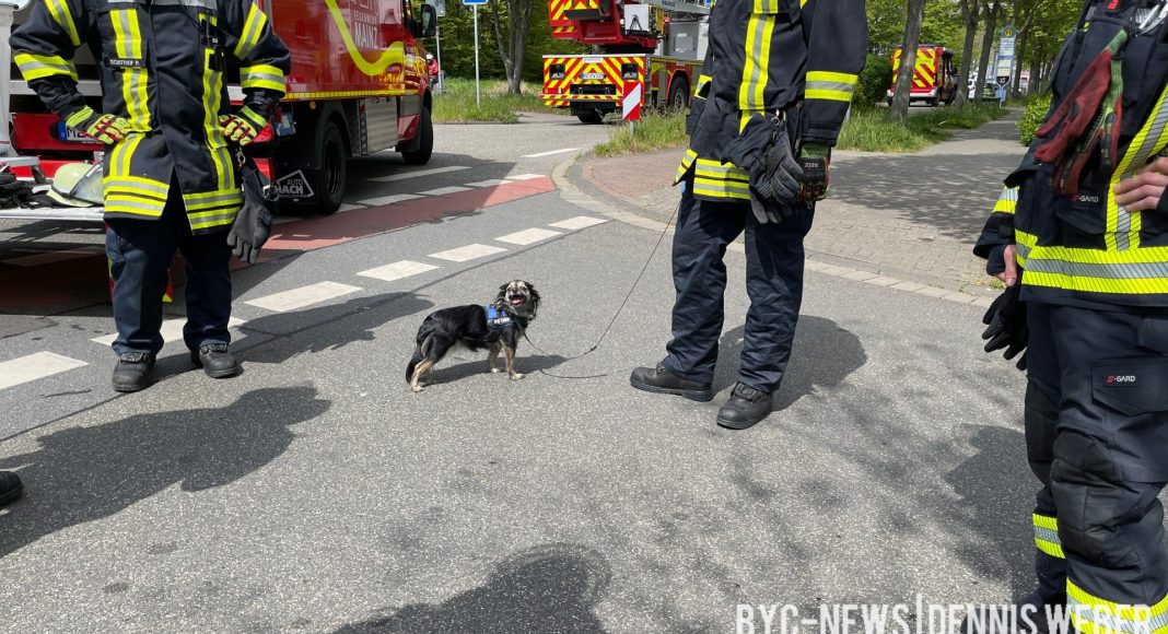 417A2143 CEE6 4428 A907 6D14F0E92EF6 e1619973877953