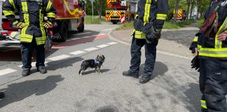 417A2143 CEE6 4428 A907 6D14F0E92EF6 e1619973877953