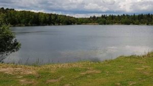 Badestelle in mörfelden-walldorf soll öffnen 53050618 276595313237614 7143842360684707840 n e1621959766801