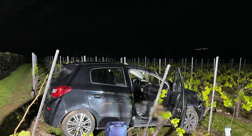 CFC4D226 9766 44DF 90B5 559C964C55D9