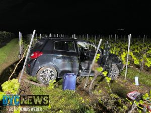 Können sie mit dem online-handel von währungen ihren lebensunterhalt sichern?