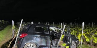 CFC4D226 9766 44DF 90B5 559C964C55D9