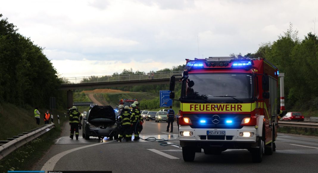 D79FE670 DE8D 455F A3E5 FAB31D48828C