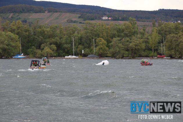 F619FEA8 11A7 4B38 A7EB D62631525DD6