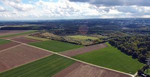 Vandalismus und getötete jungvögel in oppenheim Vandalismus und getötete jungvögel in oppenheim