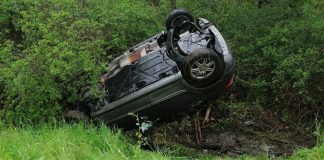 IMG 20210513 143723 e1620979550355