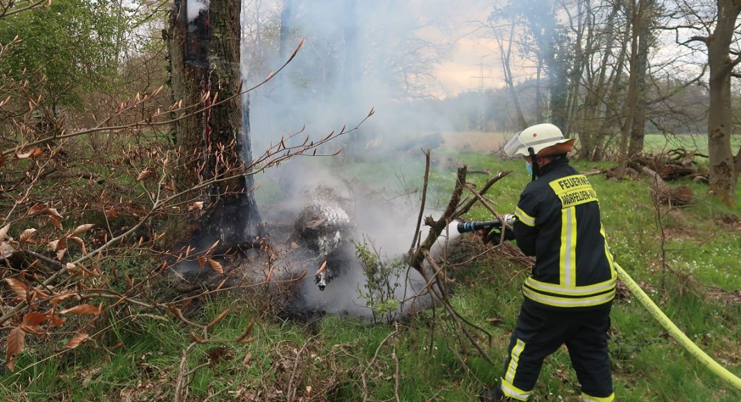 IMG 2963 e1620020578824